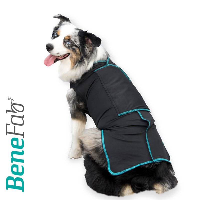 FIR Body Shirts for Dogs