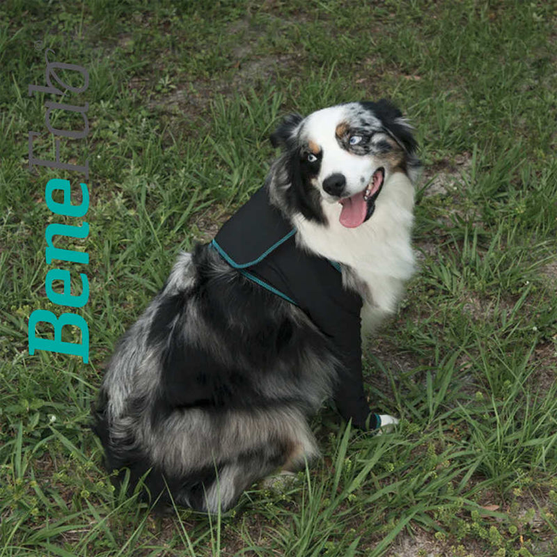 Stress reducing Far Infrared Dog Sleeves