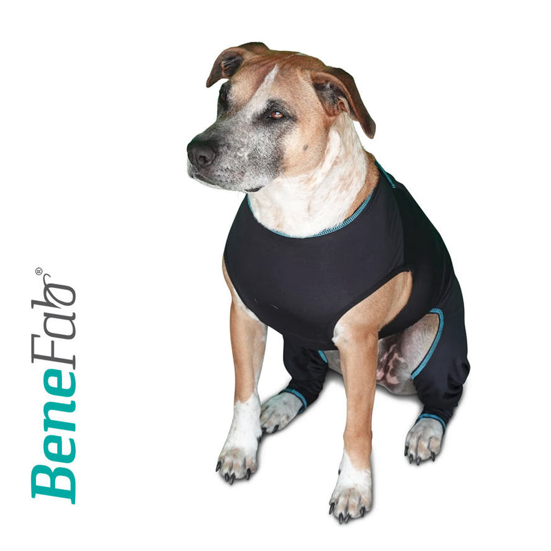 All comfort Far Infrared Dog Suits