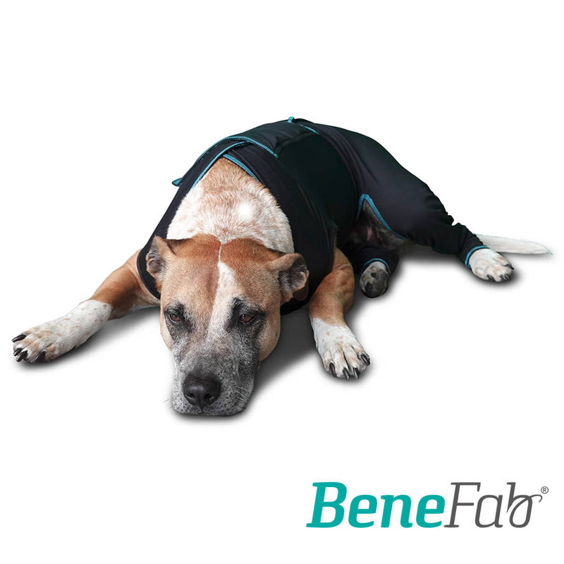 Far Infrared Canine Suits for Rehab