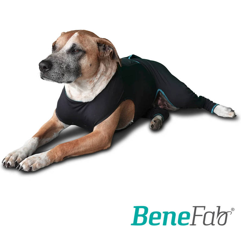 Far Infrared Body Suits for dogs offer soothing comfort from over exertion 