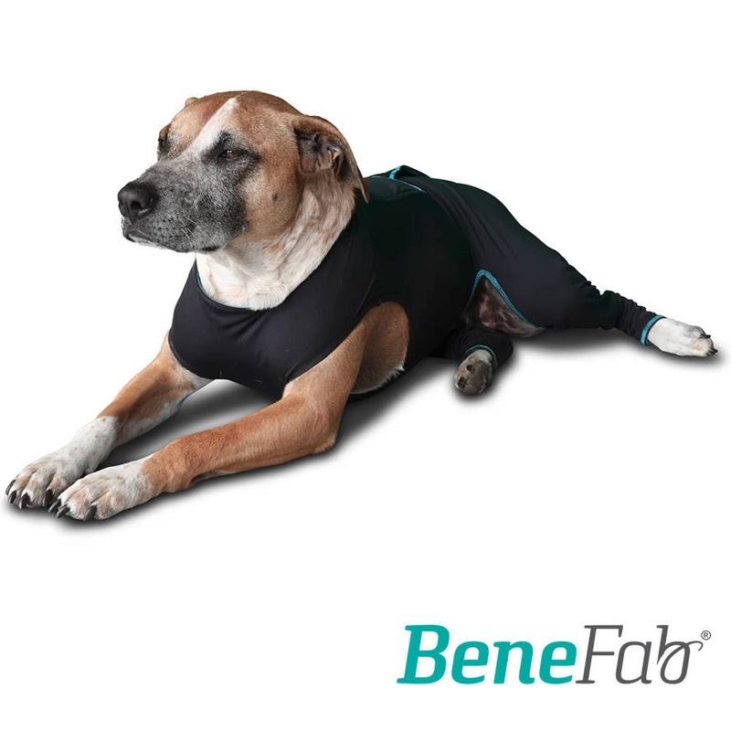 Far Infrared Body Suits for dogs offer soothing comfort from over exertion