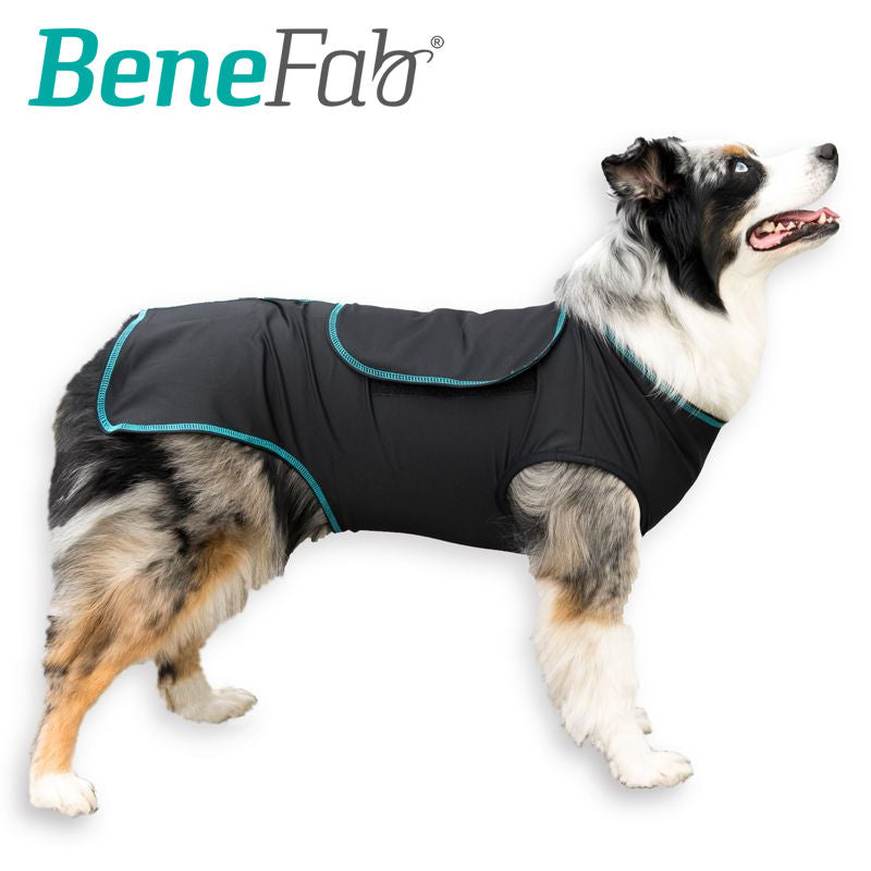 Far Infrared Canine Comfort Care Shirt