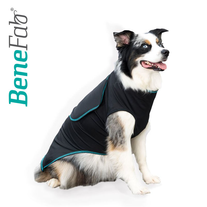 Stress Reducing Far Infrared Comfort Care Shirt for Dogs