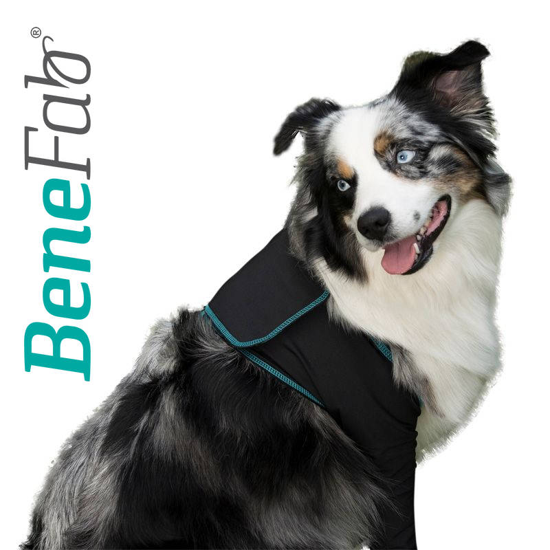 Far Infrared Sleeves for Your Dogs Front Legs