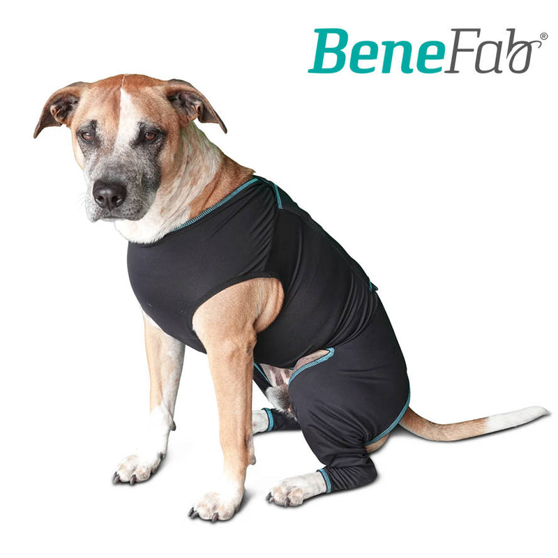 Far Infrared Canine Suits are stretchy and washable 