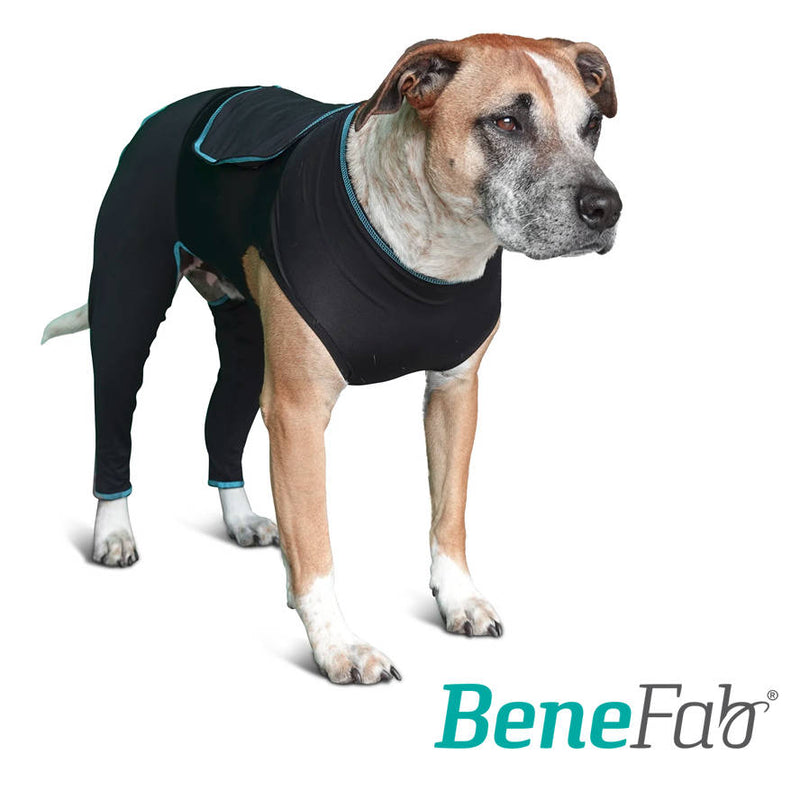Dog wear for sports dogs